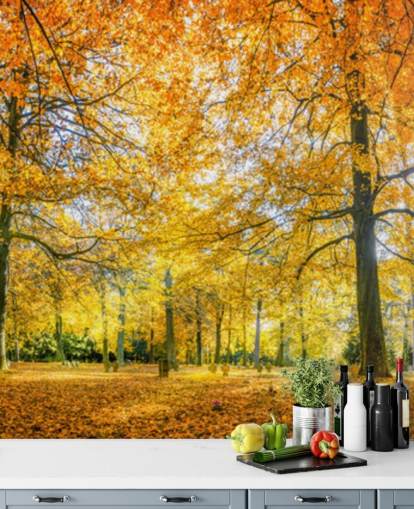 Woodland Wallpaper Woodland Wallpaper