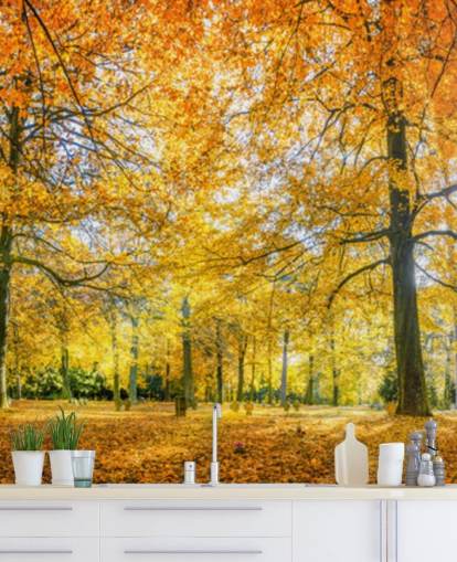 Woodland Hintergrundbild Woodland Hintergrundbild