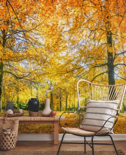 Papel de parede Woodland