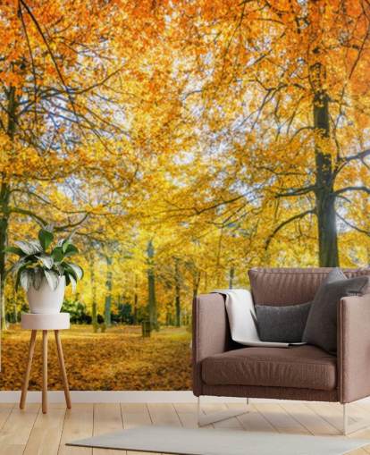 Woodland Hintergrundbild Woodland Hintergrundbild