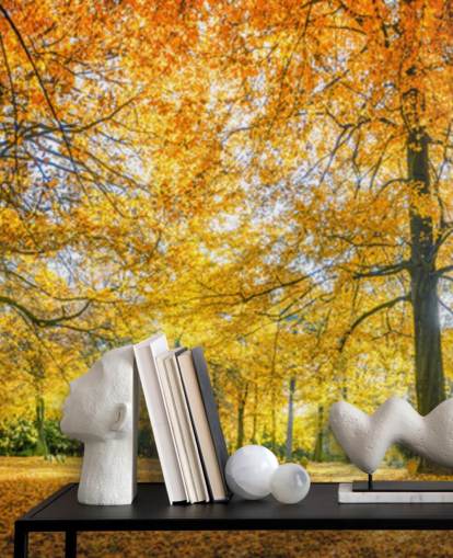 Woodland Wallpaper Woodland Wallpaper