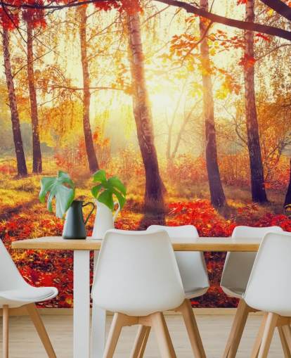 Decorazione murale con alberi autunnali nei raggi del sole