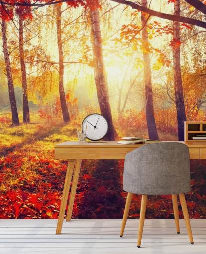 Autumnal Trees in Sun Rays Mural