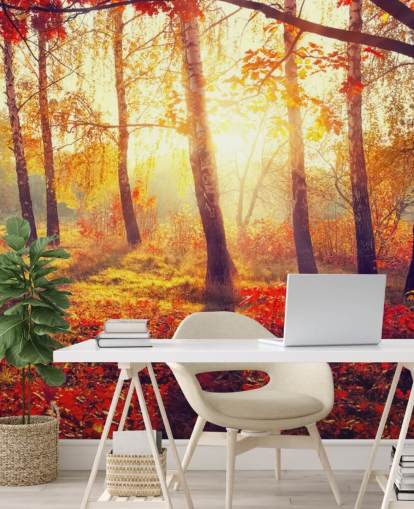 Autumnal Trees in Sun Rays Mural