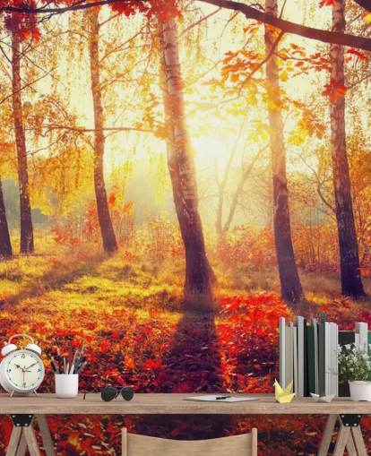 Autumnal Trees in Sun Rays Mural Autumnal Trees in Sun Rays Mural