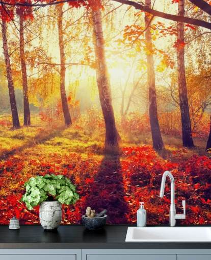 Autumnal Trees in Sun Rays Tree Wallpaper