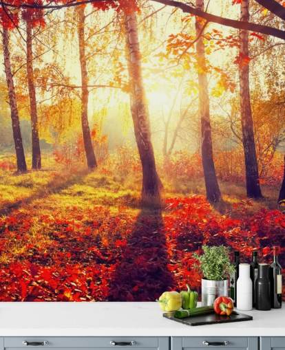 Herbstliche Bäume in Sonnenstrahlen Fototapete