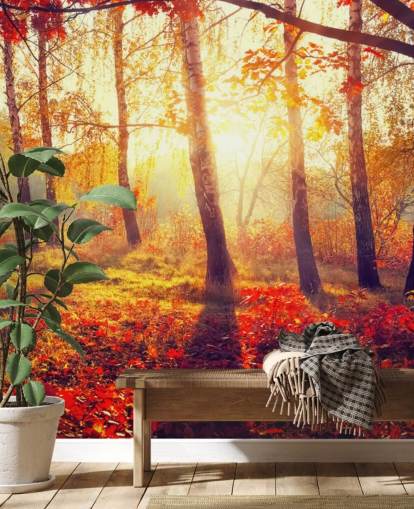 Decorazione murale con alberi autunnali nei raggi del sole Decorazione murale con alberi autunnali nei raggi del sole