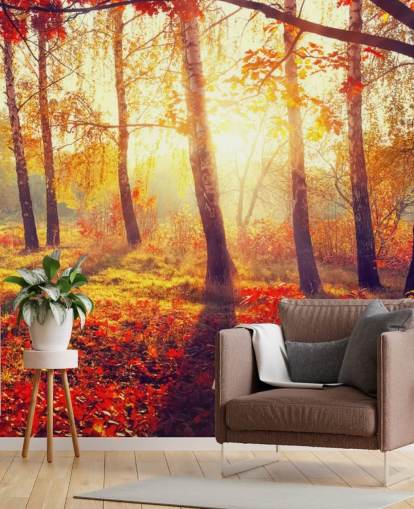 Decorazione murale con alberi autunnali nei raggi del sole