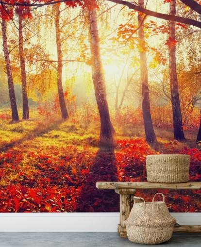 Autumnal Trees in Sun Rays Mural