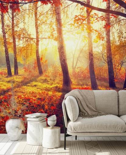 Murale Arbres automnaux sous les rayons du soleil