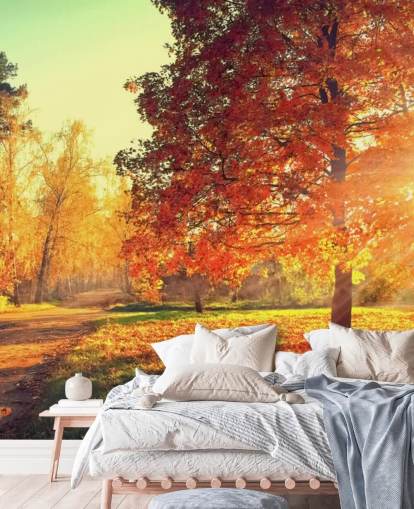 Autumn Scene Wallpaper Mural