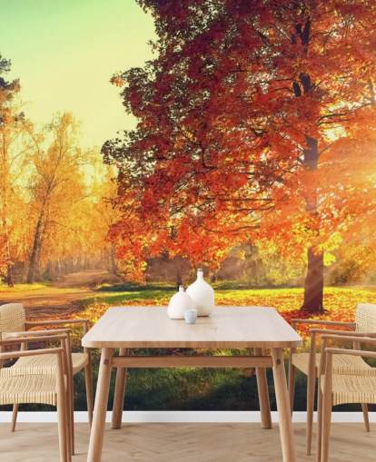 Autumn Scene Wallpaper Mural