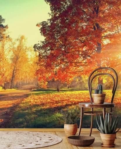 Herfst scène behang muurschildering