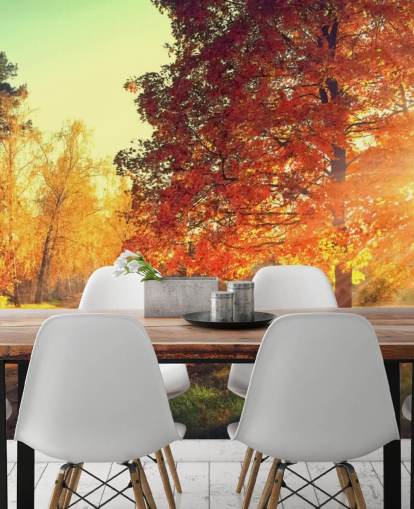 Autumn Scene Wallpaper Mural
