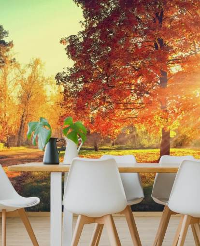 Autumn Scene Wallpaper Mural