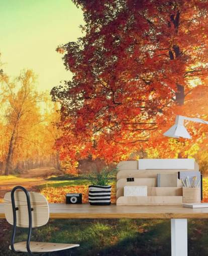 Autumn Scene Wallpaper Mural