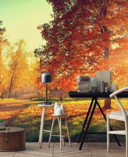 Autumn Scene Wallpaper Mural