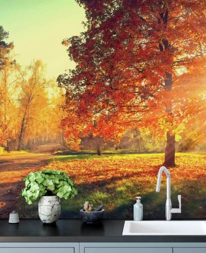 Autumn Scene Wallpaper Mural