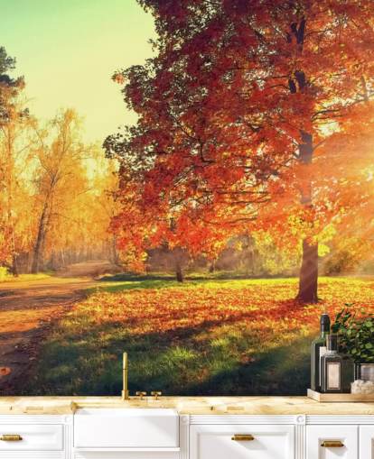 Autumn Scene Wallpaper Mural