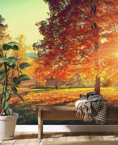 Herfst scène behang muurschildering