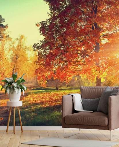 Herfst scène behang muurschildering