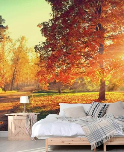 Autumn Scene Wallpaper Mural