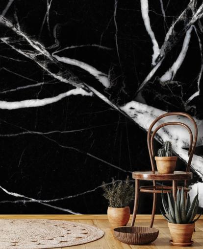 Svartvitt Marble Bakgrund Svartvitt Marble Bakgrund