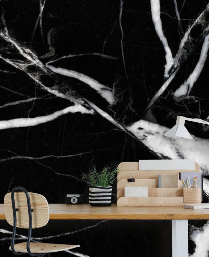 Svartvitt Marble Bakgrund Svartvitt Marble Bakgrund