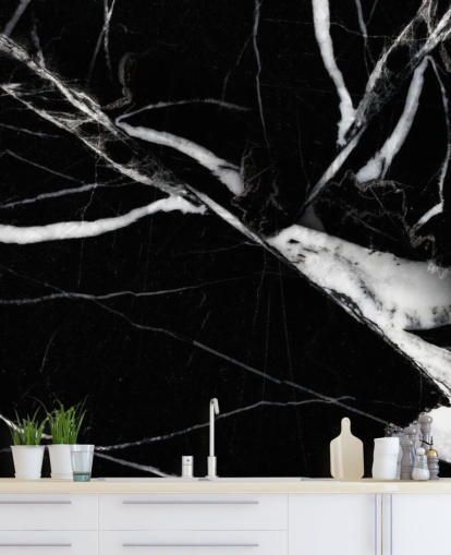 Svartvitt Marble Bakgrund Svartvitt Marble Bakgrund