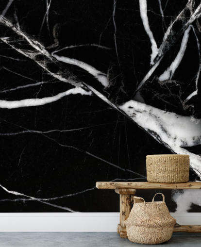 Svartvitt Marble Bakgrund