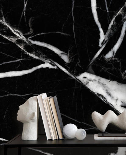 Svartvitt Marble Bakgrund