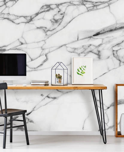 Décoration murale en marbre blanc avec lignes noires