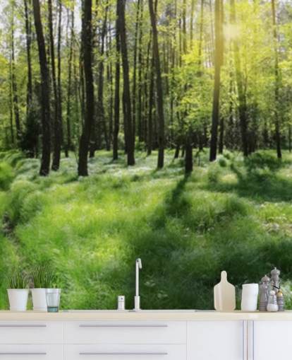 Forest Wall Mural