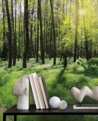 Forest Wall Mural Forest Wall Mural