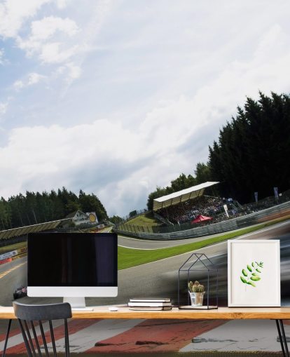 F1 Race and Track Wallpaper Mural