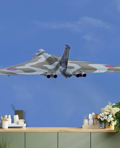 Avro Vulcan Bomber Rear View Wall Mural