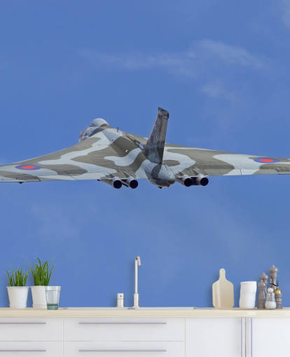 Avro Vulcan Bomber Rear View Wall Mural