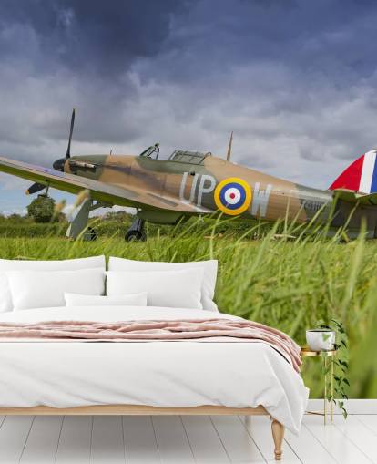 Airplane in Field Wallpaper Airplane in Field Wallpaper