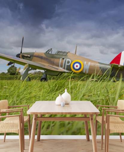 Airplane in Field Wallpaper