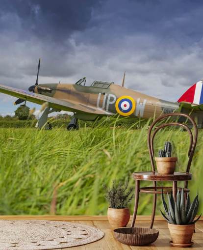 Airplane in Field Wallpaper