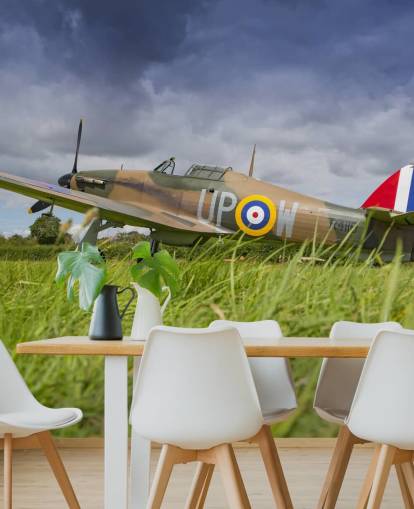 Airplane in Field Wallpaper