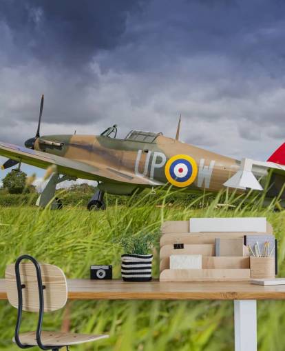 Airplane in Field Wallpaper