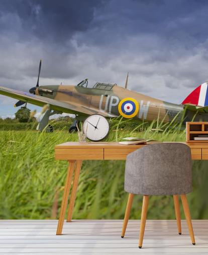 Airplane in Field Wallpaper