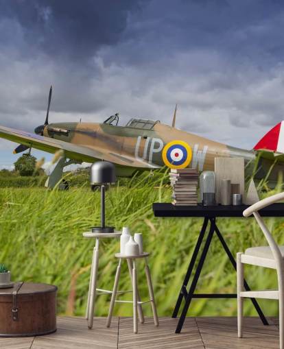 Airplane in Field Wallpaper