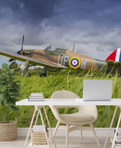 Airplane in Field Wallpaper