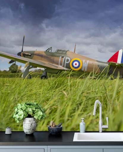 Airplane in Field Wallpaper