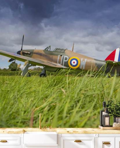 Airplane in Field Wallpaper