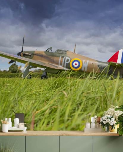 Airplane in Field Wallpaper