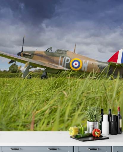 Airplane in Field Wallpaper